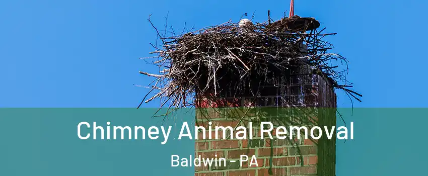  Chimney Animal Removal Baldwin - PA