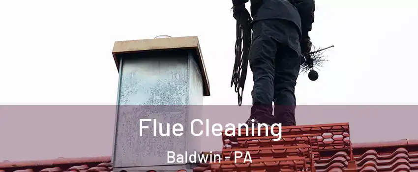  Flue Cleaning Baldwin - PA